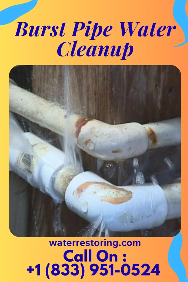 Burst Pipe Water Cleanup in Minnewaukan, ND