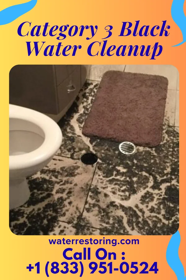 Category 3 Black Water Cleanup in Minnewaukan, ND