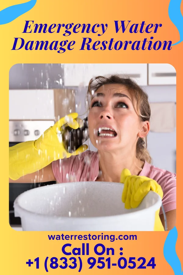 Emergency Water Damage Restoration in Minnewaukan, ND
