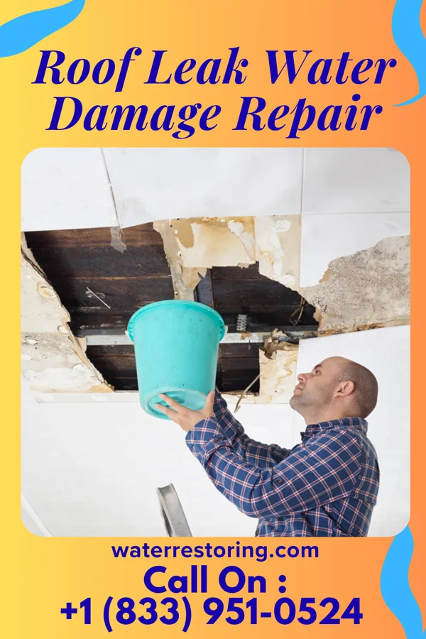 Roof Leak Water Damage Repair in Minnewaukan, ND